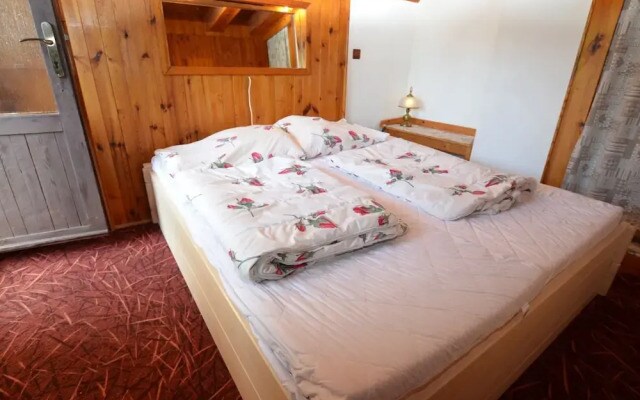 Family Chalet in Giant Mountains