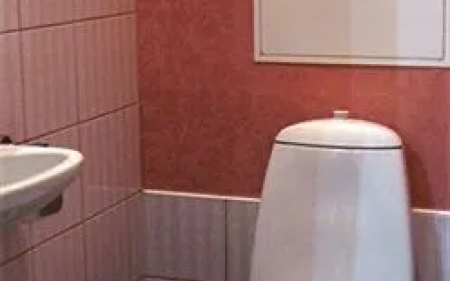 Аврора Петроградская