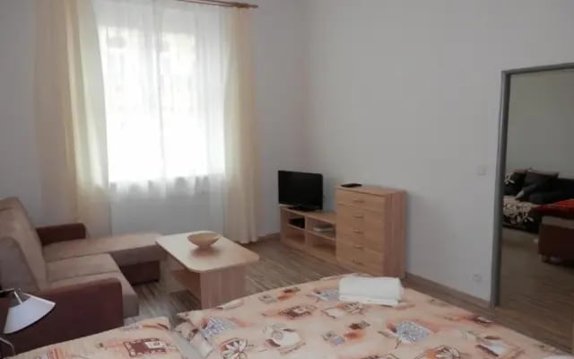 Apartment No. 27 Zeyerova 3