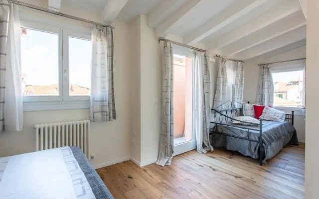 Dogi suite