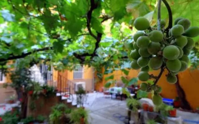 Apartment Olivar