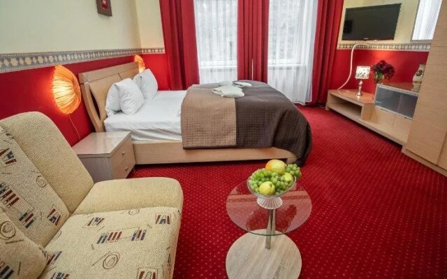 Residence Goethe U Tri moureninu