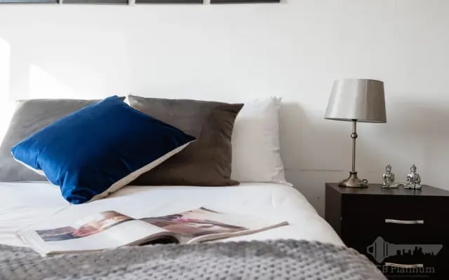Platinum Apartments near Chancery Lane