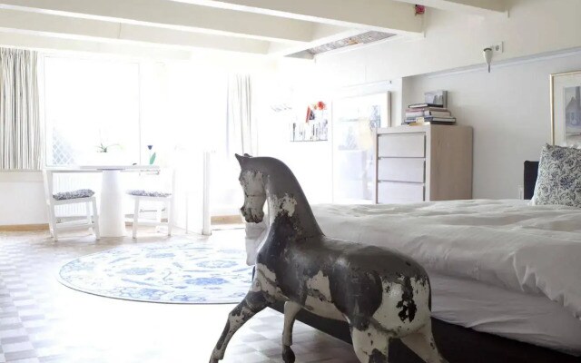 Bed & Apartment Singel 96
