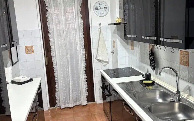 Marci's House