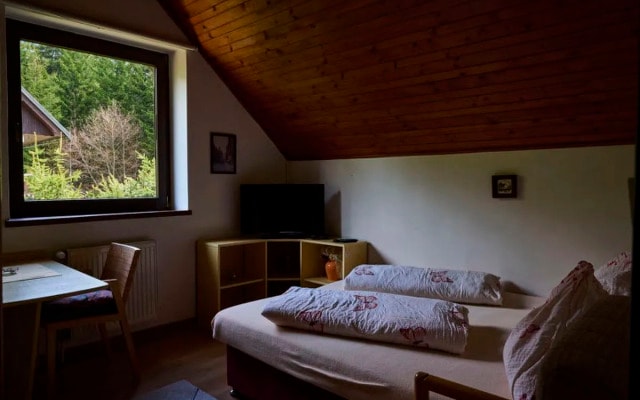 Apartment 547/3 Harrachov