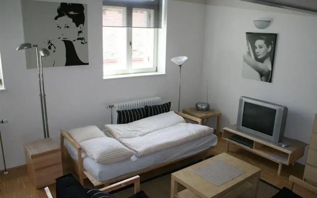 Apartment Balbínova