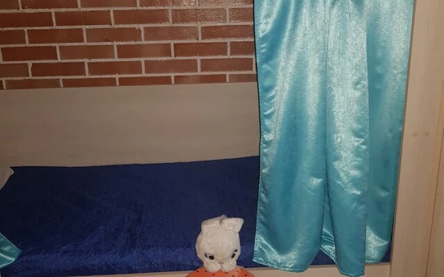 Hostel Gorozhanin