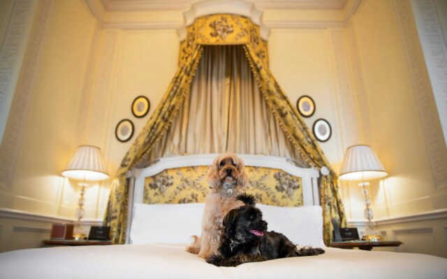 The Lanesborough, Oetker Hotels