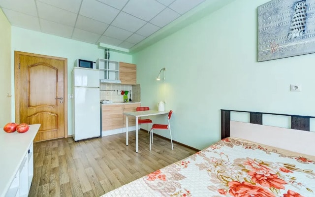 Apartment White Nights