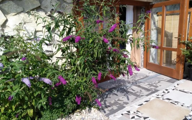 Apartments Sharka