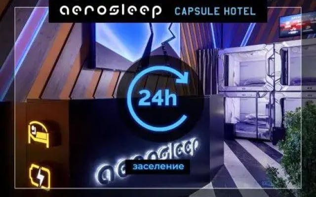 Aerosleep Sheremetyevo Terminal V