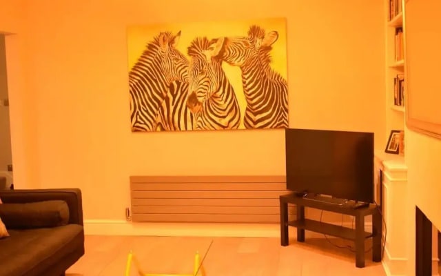 3 Bedroom House With Garden in Battersea