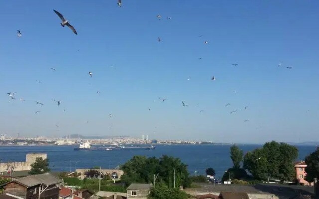 Ugel Aparts
