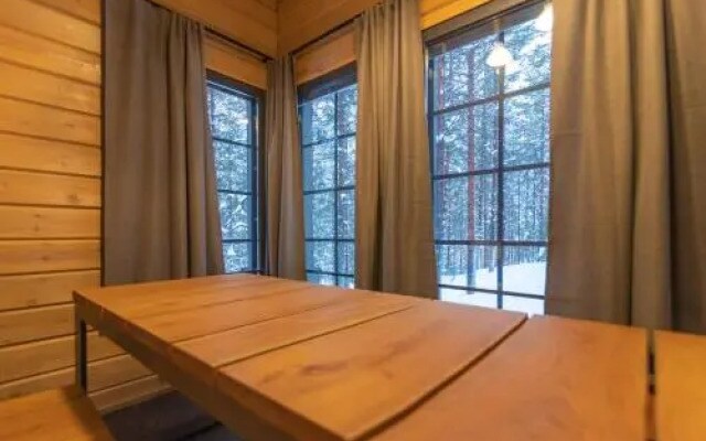 Tunturipöllö 2