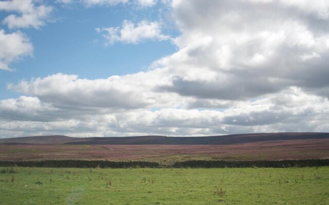 The Dog & Partridge