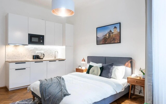 Bright downtown studio