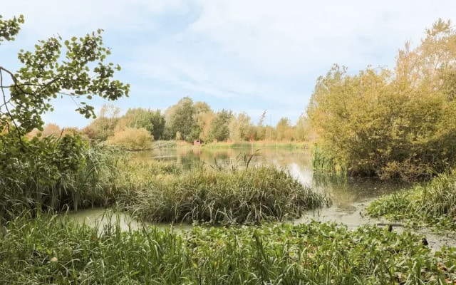 The Grainery