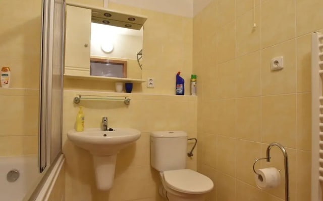 Modern Apartment in Podebrady Near River