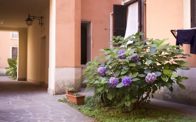 Casa Vacanze Vespucci