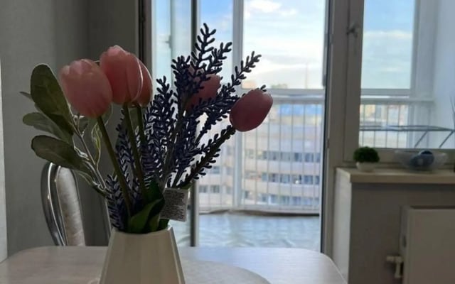 Апартаменты на улице Вишневского 29/48