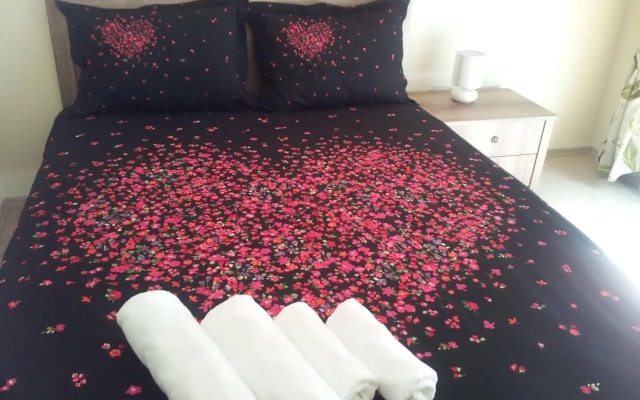 Nelly Guesthouse