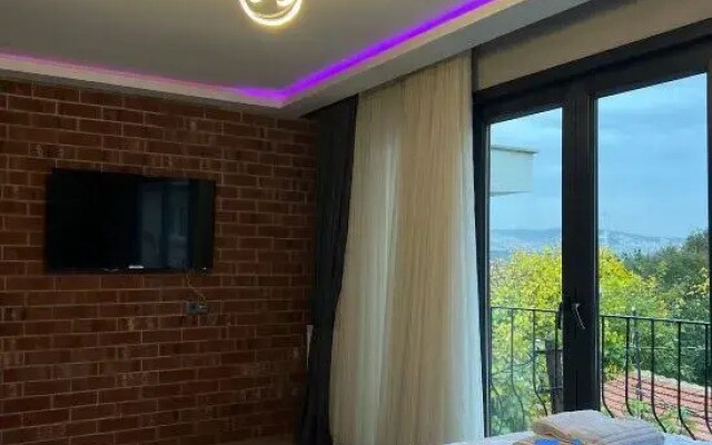 Stylish Apartment with Bosphorus View