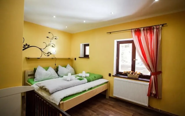 Villa in Stare Hamry Near Ski Park Grun