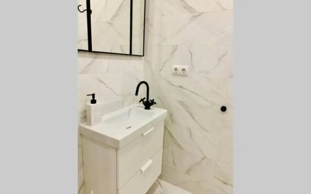 Begonia Studio 119