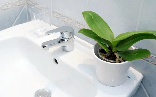 Holiday rental San Lorenzo district