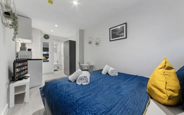 Stunning Ensuite Studio Crystal Palace London Se20