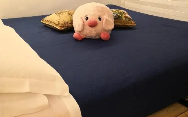 Felikshouse