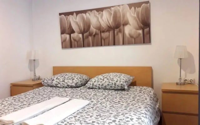 Comfortable Apt Born 41