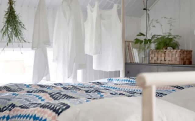 The Urban Jungle Hostel