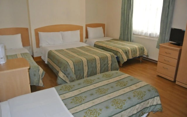 European Hotel