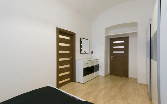 Spacious apartment near Wenceslas Square