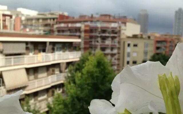 Freemove Sardenya