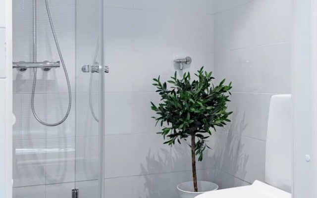 Scandinavian Apartments Kotinummentie