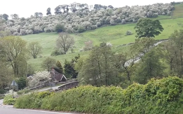 Rose Cottage