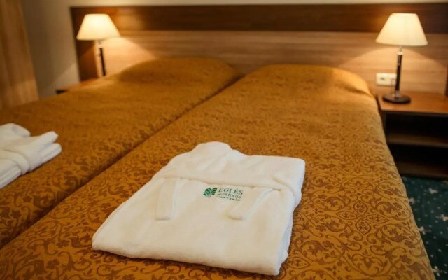 Medical SPA Eglės sanatorija Birštonas