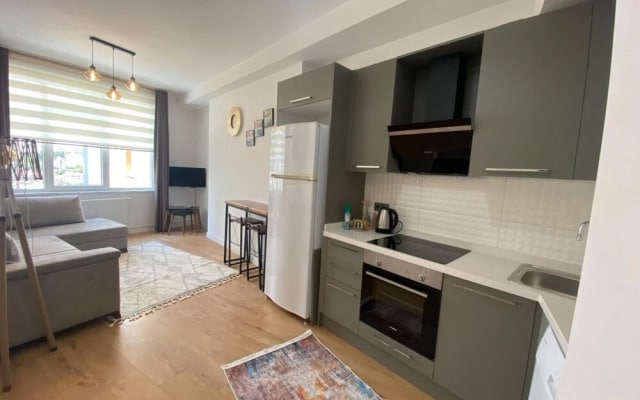Business-friendly Residence Flat in Fikirtepe