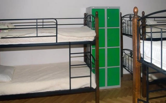 Koala hostel