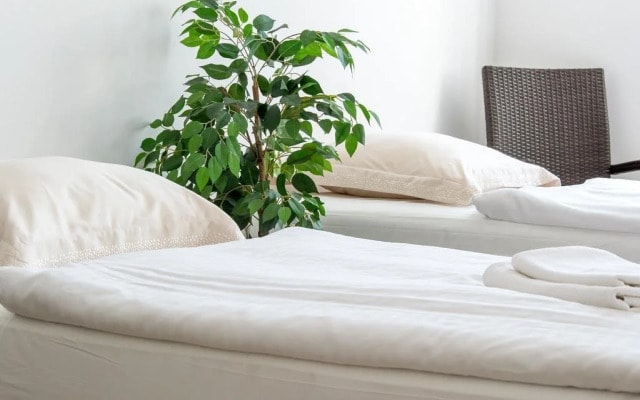 Apartmány Hradební