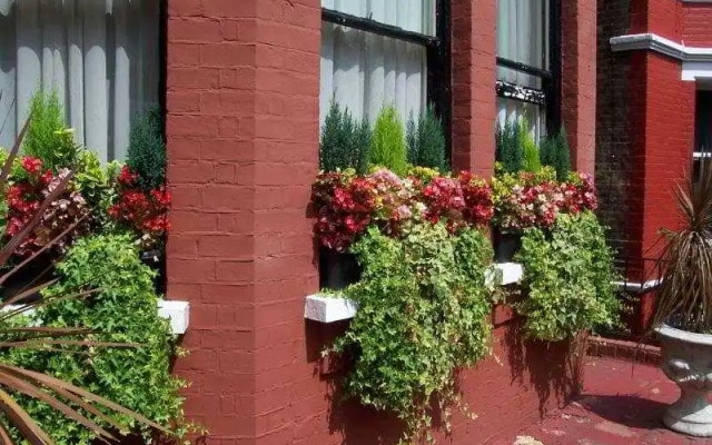 Queens Hotel