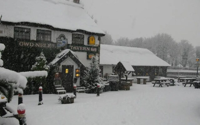 Guy's Thatched Hamlet