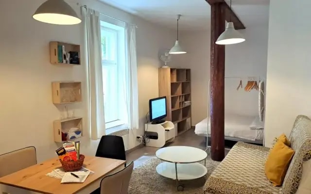 Magnificent apartment in the center of Prague
