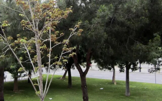 Cardenal Reig