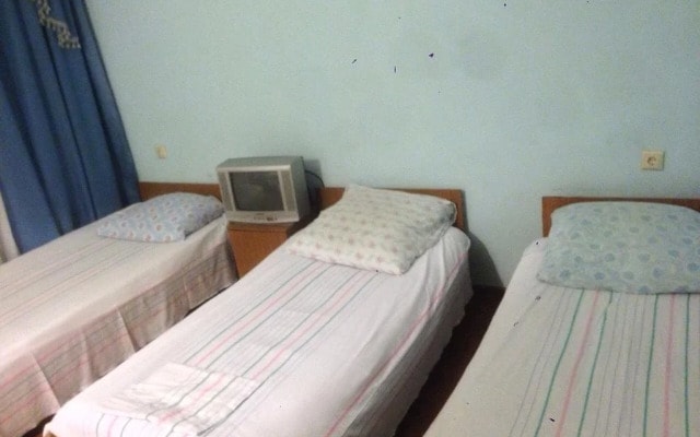 Guesthouse Energetikov 128