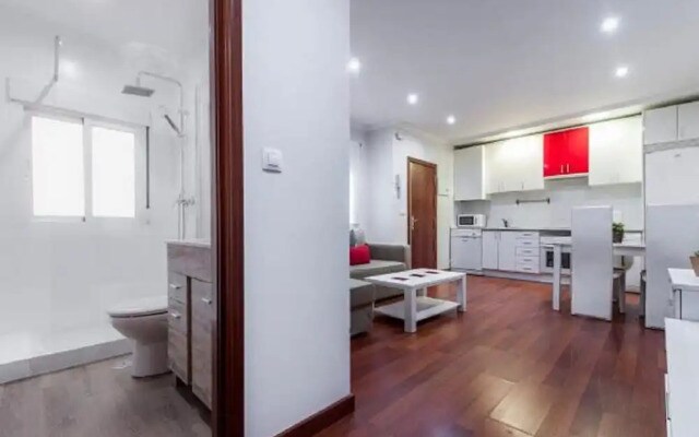 Apartamento Plaza Castilla