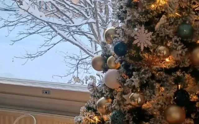 Tyylikäs yhden makuuhuoneen kohde luonnon lähellä